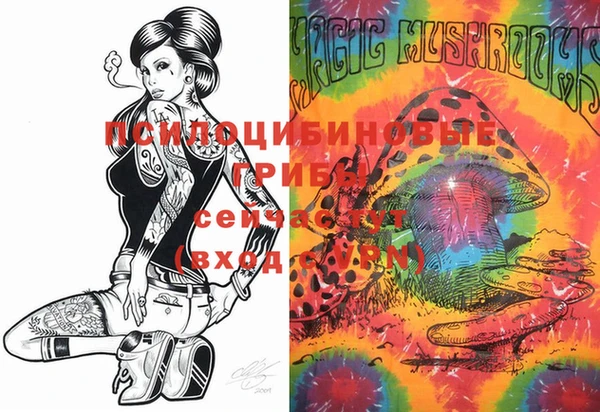 PSILOCYBIN Балабаново