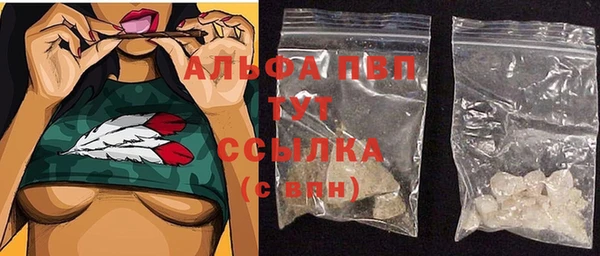 PSILOCYBIN Балабаново