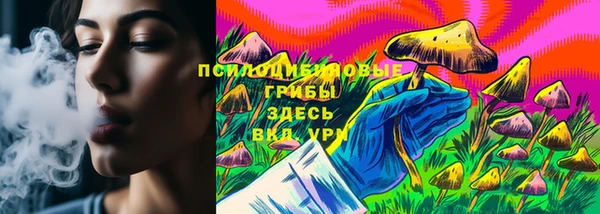 PSILOCYBIN Балабаново