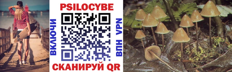 наркошоп  Великий Устюг  Псилоцибиновые грибы Magic Shrooms 