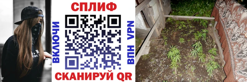 OMG ссылка  Великий Устюг  Шишки марихуана гибрид 